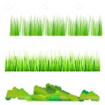 Different Types of Natural Looking Grass